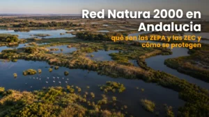 Paisaje de las marismas de Doñana, espacio protegido de la Red Natura 2000 en Andalucía